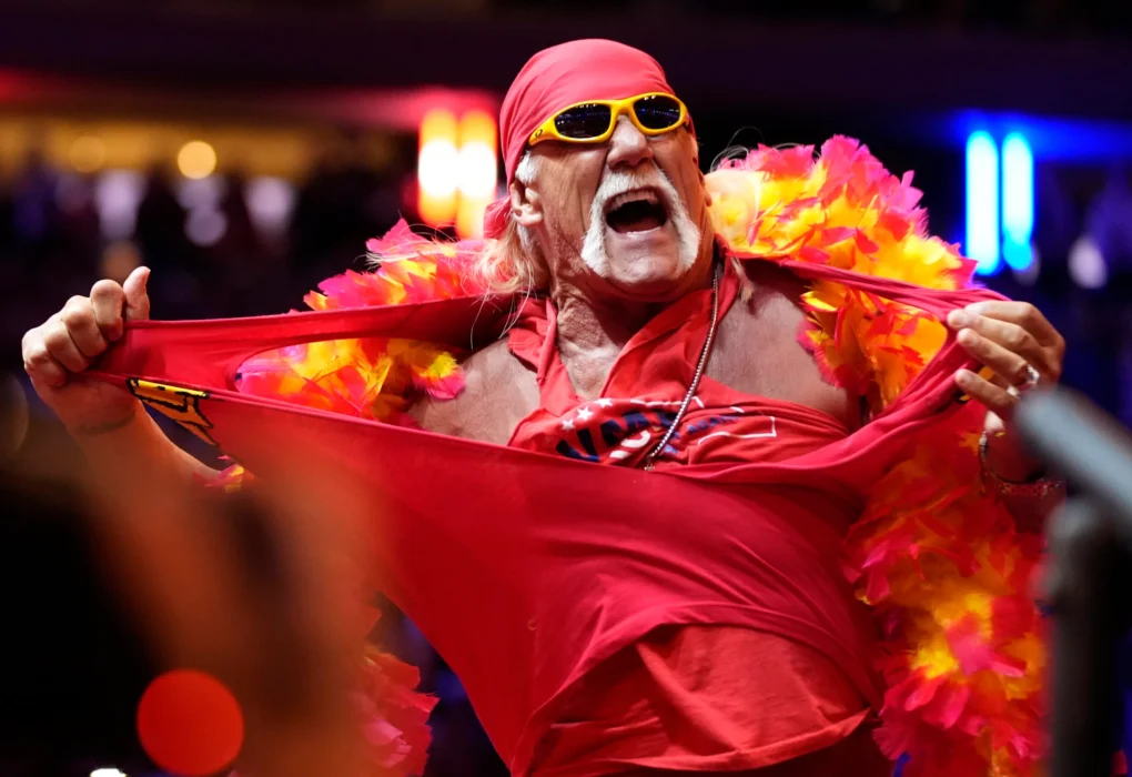 Pro wrestling legend Hulk Hogan dies at 71